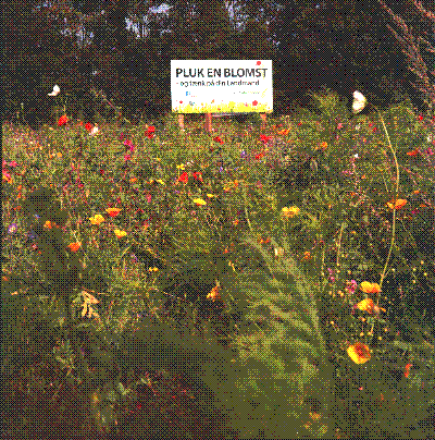 Sign in Danish saying to pick poppies and thank your local farmer