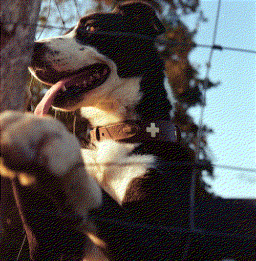 A border collie named Kruz standing against a metal fence