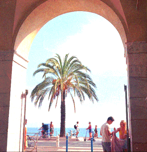 Palm Trees in Nice